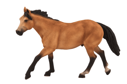 Mojo Quarter horse plavák