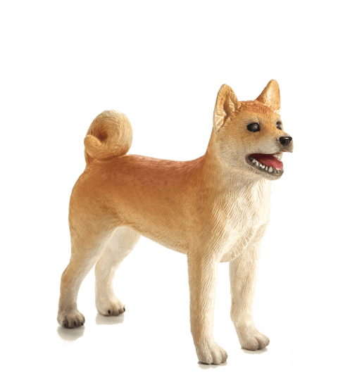 Mojo Pes shiba-inu