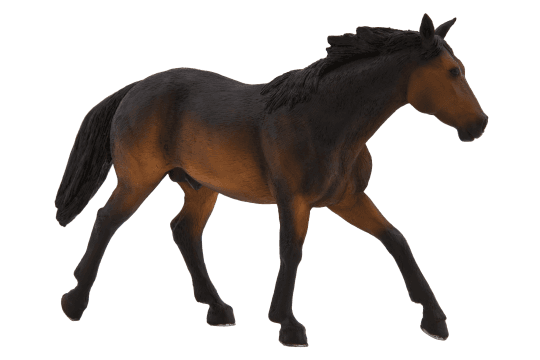 Mojo Quarter horse hnědák