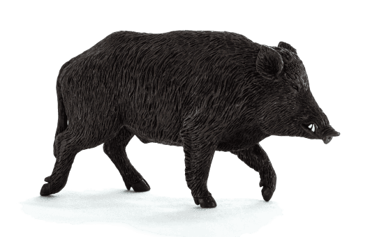 Animal Planet Divočák
