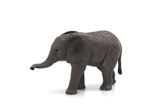 Mojo Slon africký slůně