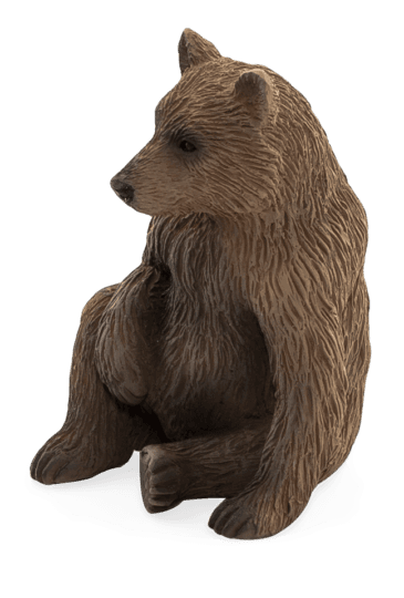 Mojo Medvěd grizzly mládě