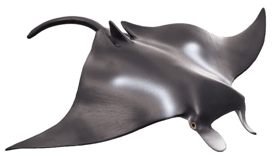 Mojo Rejnok manta
