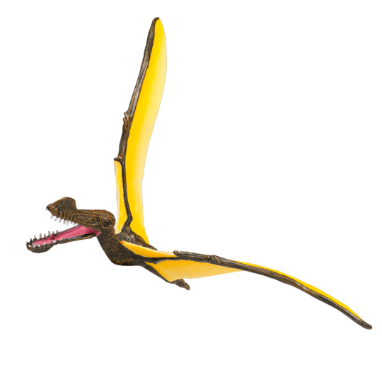 Mojo Tropeognathus