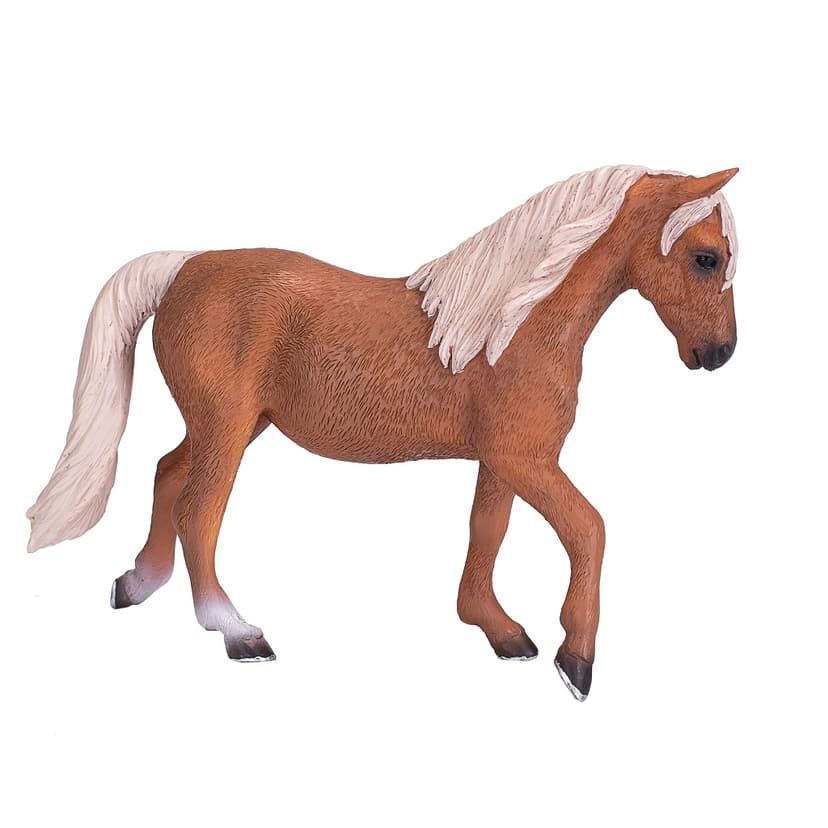 Mojo Kůň morgan palomino