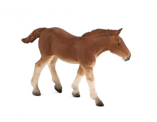 Mojo Suffolk Punch hříbě