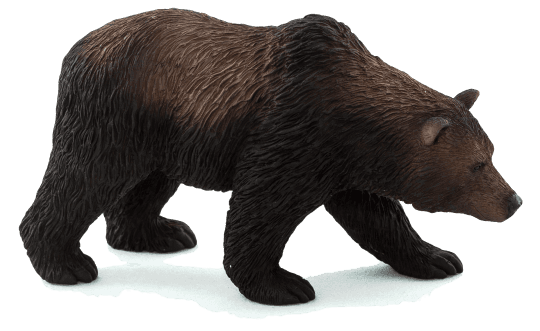 Mojo Medvěd grizzly