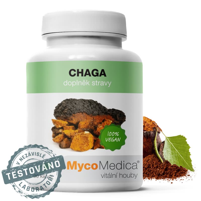 MycoMedica Chaga 90 cps. - MycoMedica